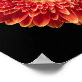 Flowers Orange Gerbera | Daisy Poster (Ecke)