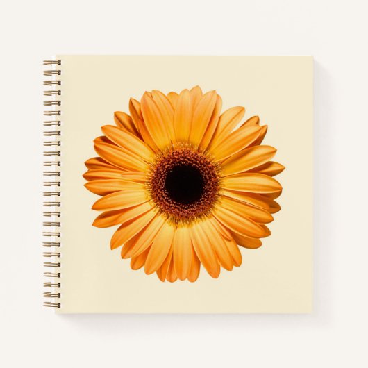 Flowers | Orange Gerbera Notizblock (Vorderseite)
