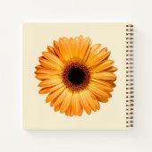 Flowers | Orange Gerbera Notizblock (Rückseite)