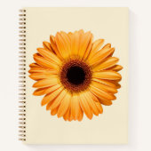 Flowers | Orange Gerbera Notizblock (Vorderseite)