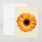 Flowers | Orange Gerbera Postkarte (Vorne/Hinten)