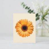 Flowers | Orange Gerbera Postkarte (Stehend Vorderseite)