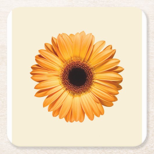 Flowers | Orange Gerbera Rechteckiger Pappuntersetzer (Vorderseite)