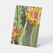 Flowers Photo Sockelschild (Vorderseite)