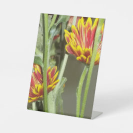 Flowers Photo Sockelschild