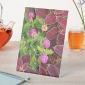 Flowers Photo Sockelschild (In Situ)