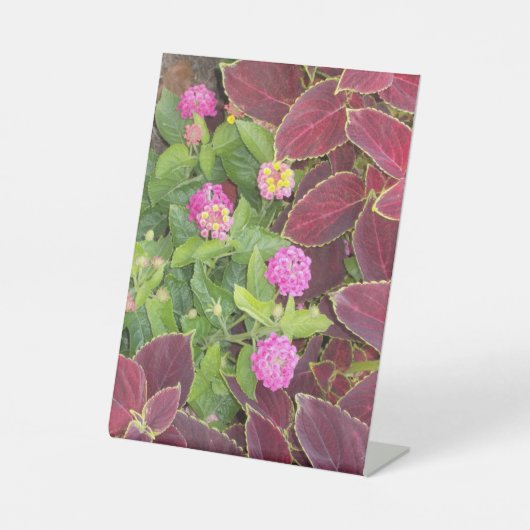 Flowers Photo Sockelschild (Vorderseite)