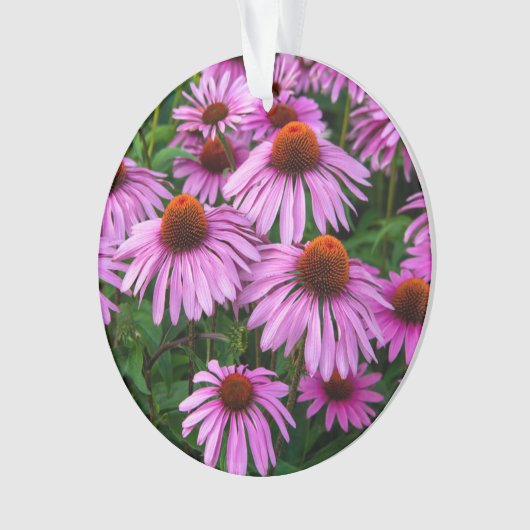 Flowers | Pink Coneflower Garden Ornament (Vorderseite)