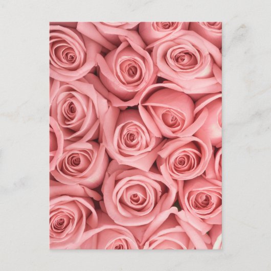 Flowers | Pink Roses Postkarte (Vorderseite)