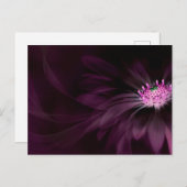 Flowers | Purple Daisy Postkarte (Vorne/Hinten)