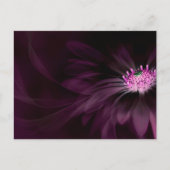 Flowers | Purple Daisy Postkarte (Vorderseite)