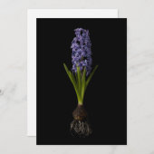 Flowers | Purple Hyacinth Bulb Dankeskarte (Vorne/Hinten)