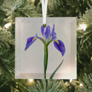 Flowers   Purple Iris Flower Ornament Aus Glas