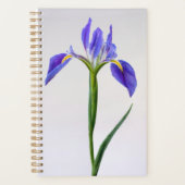 Flowers | Purple Iris Flower Planer (Vorderseite)