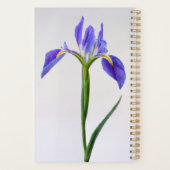 Flowers | Purple Iris Flower Planer (Rückseite)