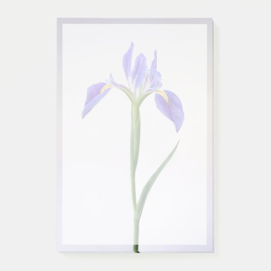 Flowers | Purple Iris Flower Post-it Klebezettel (Vorderseite)
