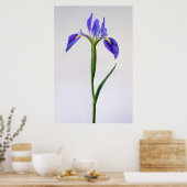 Flowers | Purple Iris Flower Poster (Küche)