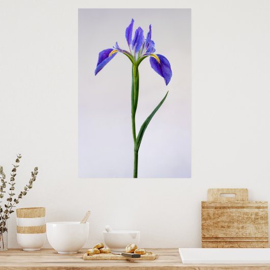Flowers | Purple Iris Flower Poster (Küche)