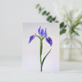 Flowers | Purple Iris Flower Postkarte (Stehend Vorderseite)