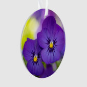 Flowers | Purple Pansies Ornament (Vorderseite)