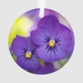 Flowers | Purple Pansies Ornament (Rückseite)