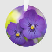 Flowers | Purple Pansies Ornament (Vorderseite)