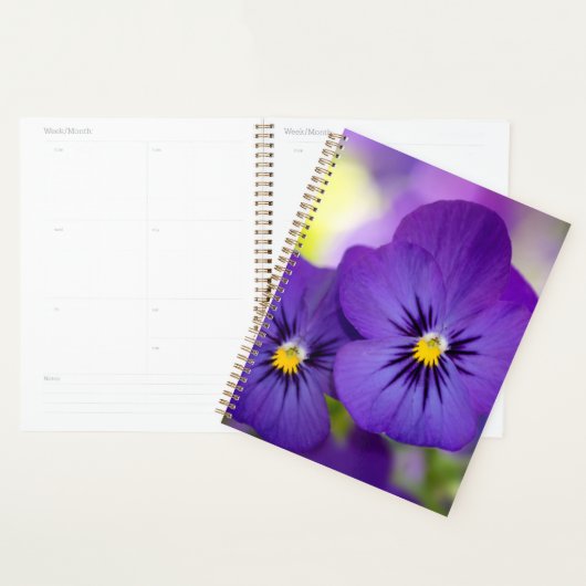 Flowers | Purple Pansies Planer (Anzeige)