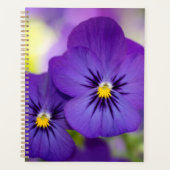 Flowers | Purple Pansies Planer (Vorderseite)