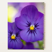 Flowers | Purple Pansies Planer (Rückseite)