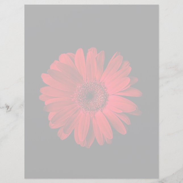 Flowers | Red Gerbera Daisy (Vorderseite)
