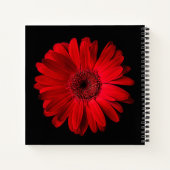Flowers Red Gerbera | Daisy Notizblock (Rückseite)