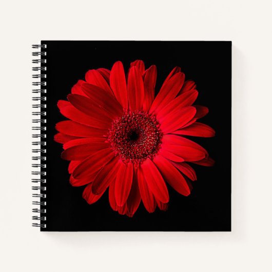 Flowers Red Gerbera | Daisy Notizblock (Vorderseite)