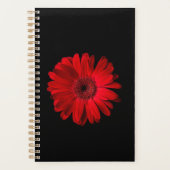 Flowers | Red Gerbera Daisy Planer (Vorderseite)