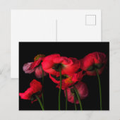 Flowers | Red Poppies Postkarte (Vorne/Hinten)