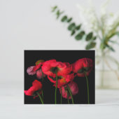 Flowers | Red Poppies Postkarte (Stehend Vorderseite)