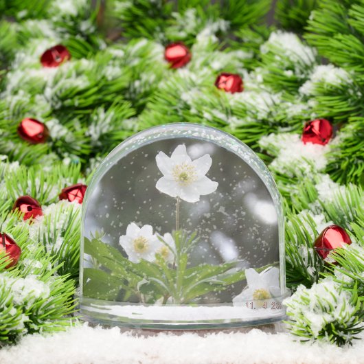 flowers schneekugeln (Weihnachten)