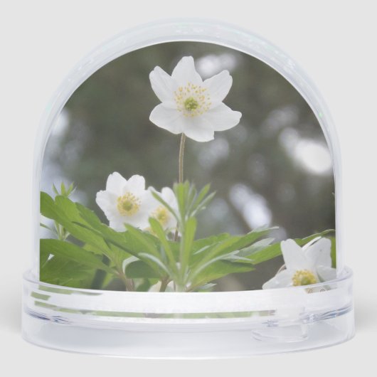 flowers schneekugeln (Rückseite)