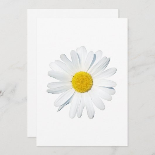 Flowers | Single Daisy Dankeskarte (Vorne/Hinten)