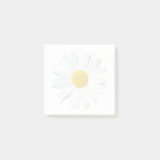 Flowers | Single Daisy Post-it Klebezettel (Vorderseite)