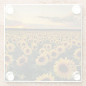Flowers | Sunflower Field Glasuntersetzer (Rückseite)
