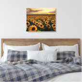 Flowers | Sunflower Field Leinwanddruck (Insitu (Schlafzimmer))