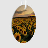 Flowers | Sunflower Field Ornament (Vorderseite)