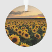 Flowers | Sunflower Field Ornament (Rückseite)