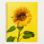 Flowers | Sunflower on Yellow Planer (Vorderseite)