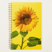 Flowers | Sunflower on Yellow Planer (Vorderseite)