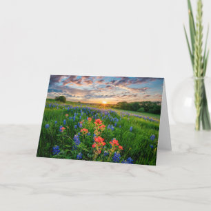 Flowers Texas Bluebonnets & Indian Paintbrush Karte