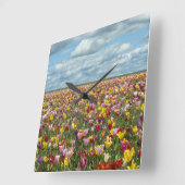 Flowers | Tulips Willamette Valley Oregon Quadratische Wanduhr (Winkel)