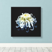Flowers | White Chrysanthemum Leinwanddruck (Insitu (Holzboden))