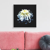 Flowers | White Chrysanthemum Leinwanddruck (Insitu (Wohnzimmer))