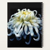 Flowers | White Chrysanthemum Planer (Rückseite)